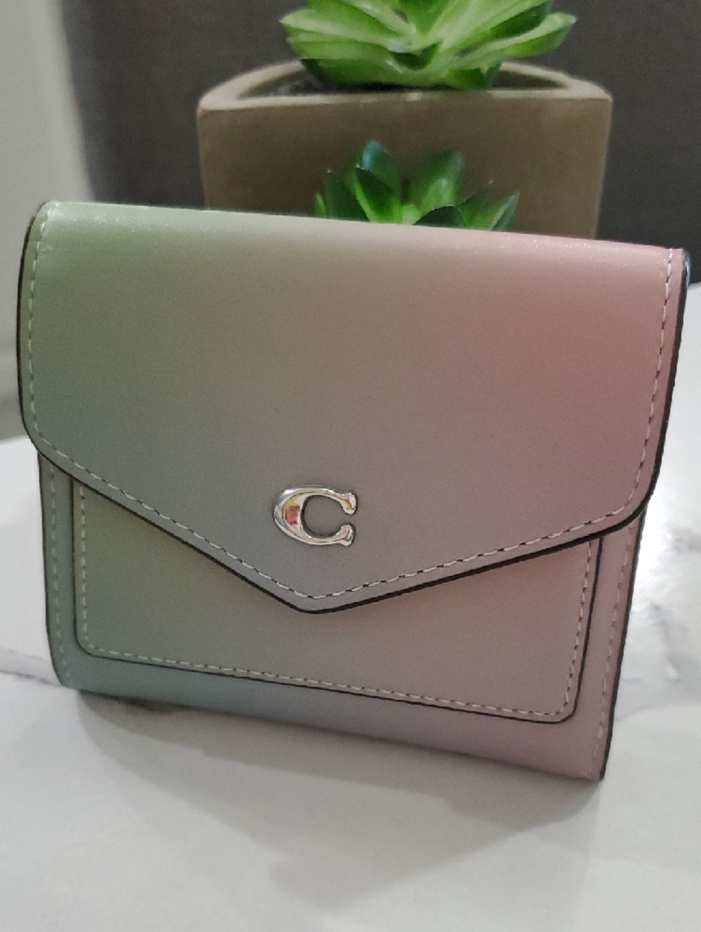 Coach Ombre Leather Wyn Small Wallet in the Pale Pistachio Multi colorway💗💙💚 - Picture 10 of 16